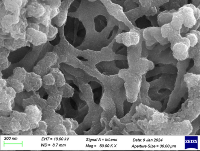 Furan-based Aramid oil-coated separator