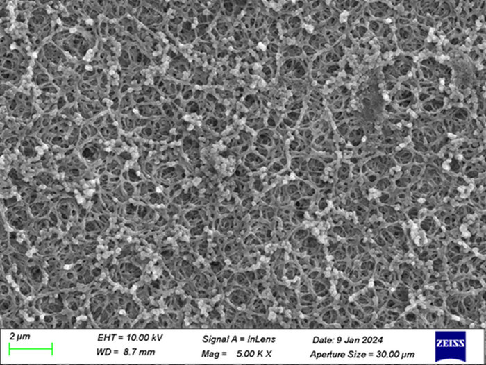 Furan-based Aramid oil-coated separator